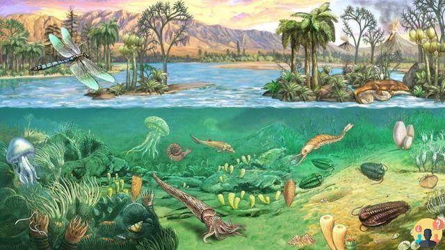 ¿Qué fue el Paleozoico?