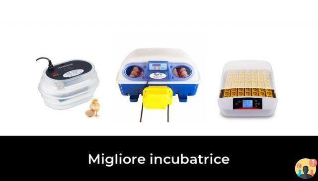 ¿Cuáles son las mejores incubadoras?