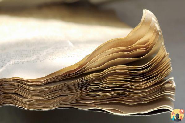 ¿Qué madera se usa para hacer papel?