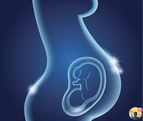 ¿Cómo es el endometrio al principio del embarazo?