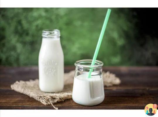 ¿Diferencia entre lactosa y proteína de leche?