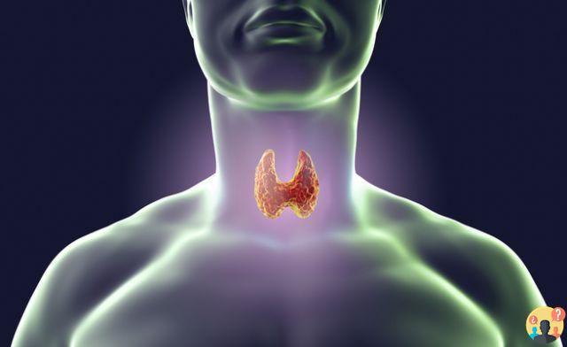¿Qué es malo para la glándula tiroides?