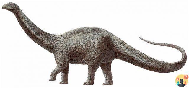 ¿Cómo se defiende el brontosaurio?