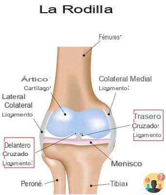 Significado de dolor de rodilla bilateral?