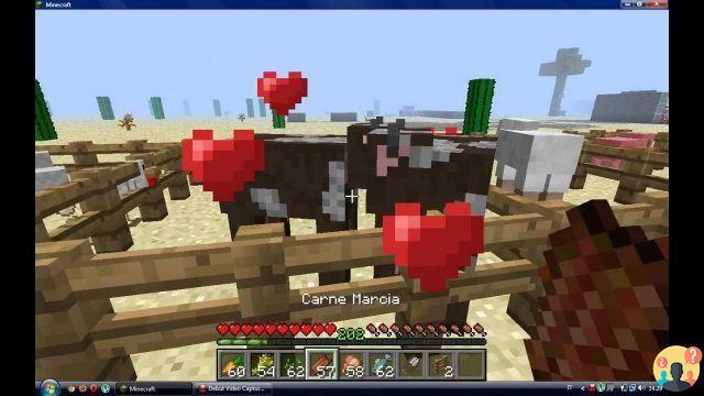 ¿Qué comen las vacas de Minecraft?