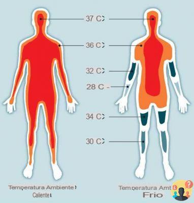 ¿Cuál es la temperatura corporal adecuada?