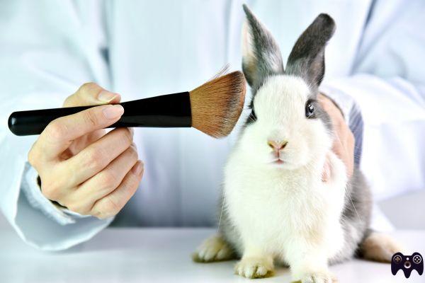 ¿Cómo se prueban los cosméticos en animales?