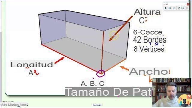 ¿Cuáles son las dimensiones básicas de un paralelepípedo rectangular?