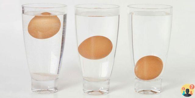 ¿Cuánto duran los huevos frescos?