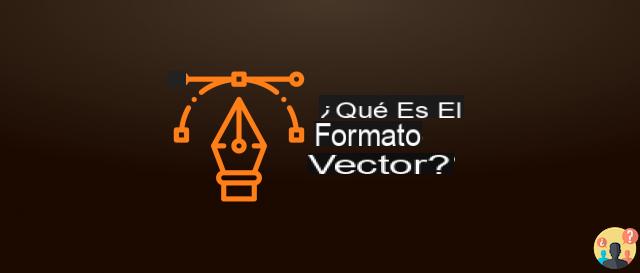 ¿Qué es el formato vectorial?
