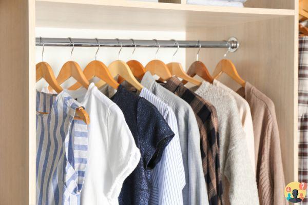 ¿Qué poner en los armarios para evitar el moho?