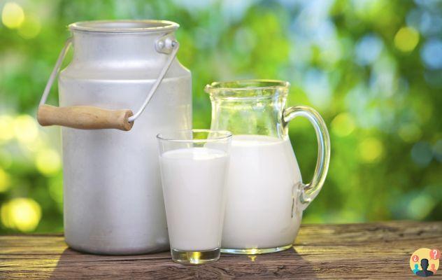 ¿Cuál es la diferencia entre leche entera y semidesnatada?