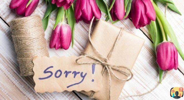 ¿Qué flores para disculparse?