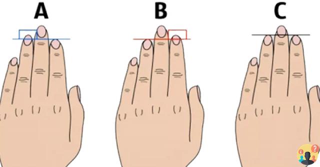 ¿Por qué los dedos de las manos tienen diferentes longitudes?