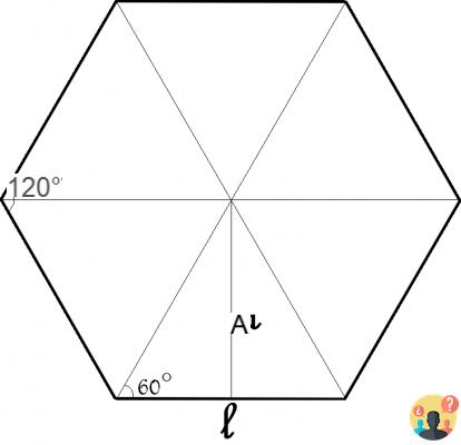 ¿Qué significa hexagonal?