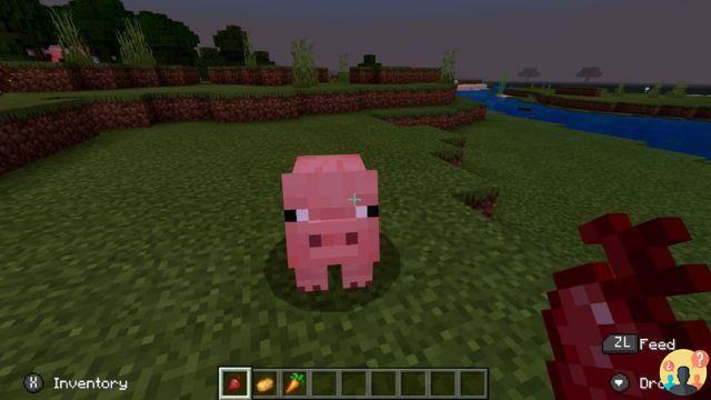 ¿Qué comen los cerdos en Minecraft?