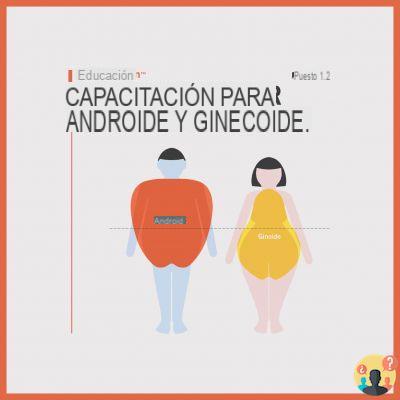 ¿Dieta para android y ginoide?