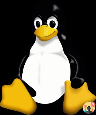 ¿Qué es el sistema operativo Linux?