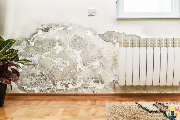¿Cómo eliminar la humedad ascendente de las paredes?