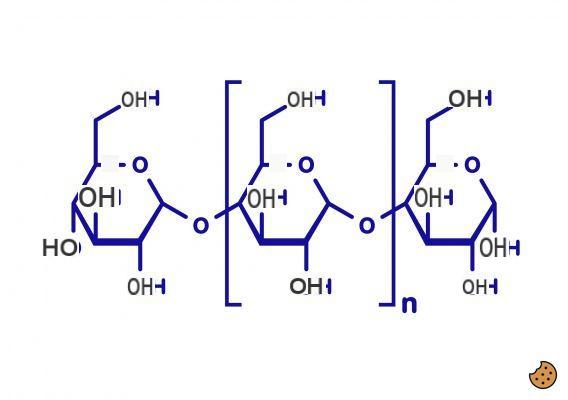 ¿Cuál es la estructura de los polisacáridos?