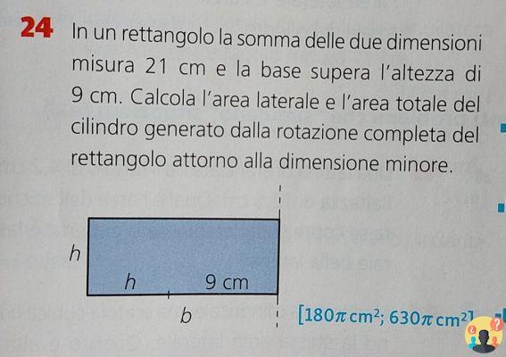 ¿Cuáles son las dimensiones del rectángulo?