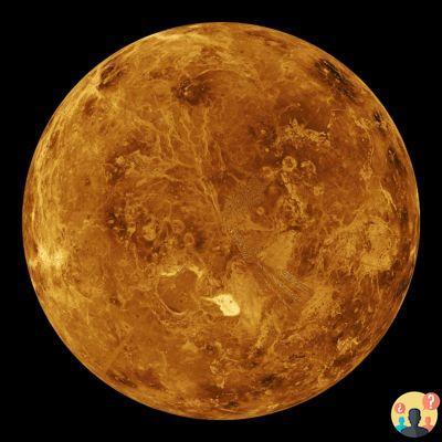 ¿Quién descubrió a Venus?