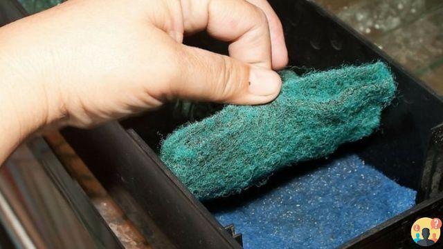 ¿Cuándo cambiar la lana filtrante del acuario?