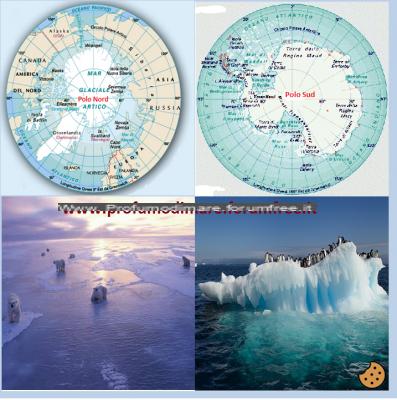 ¿Diferencia entre la Antártida y la Antártida?