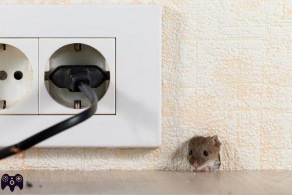 ¿Dónde se esconden los ratones en la casa?