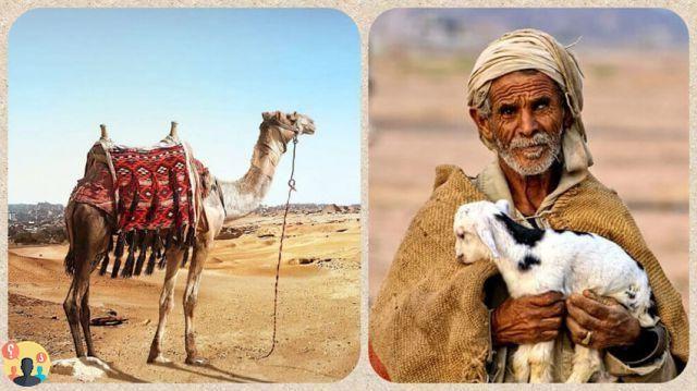 ¿Quiénes son los beduinos del desierto?