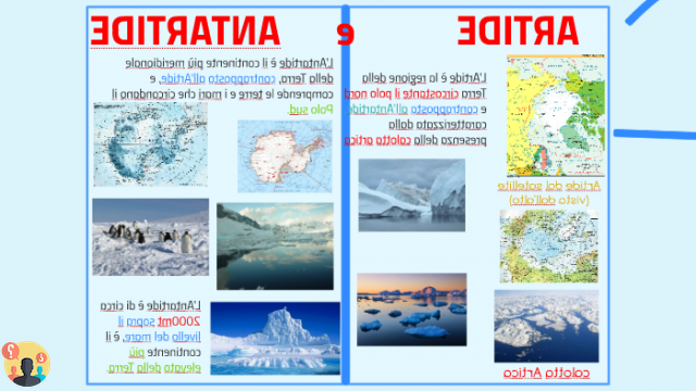 ¿Diferencia entre ártico y antártico?