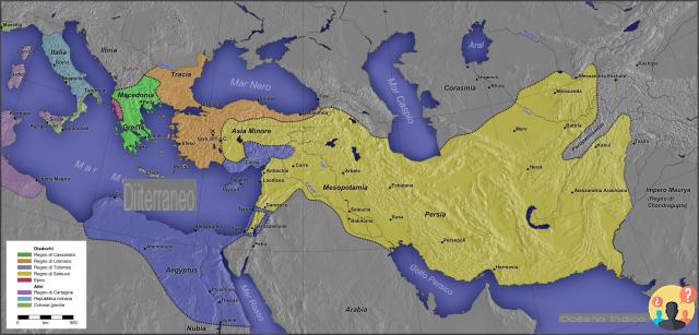 ¿Qué son los reinos helenísticos?