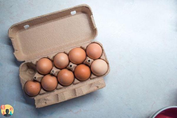 ¿Cómo se almacenan los huevos?