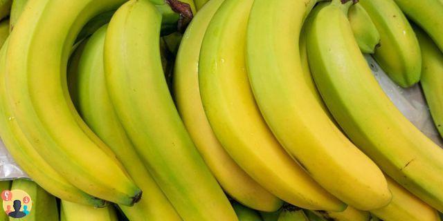 ¿Cuántos tipos de plátanos hay?