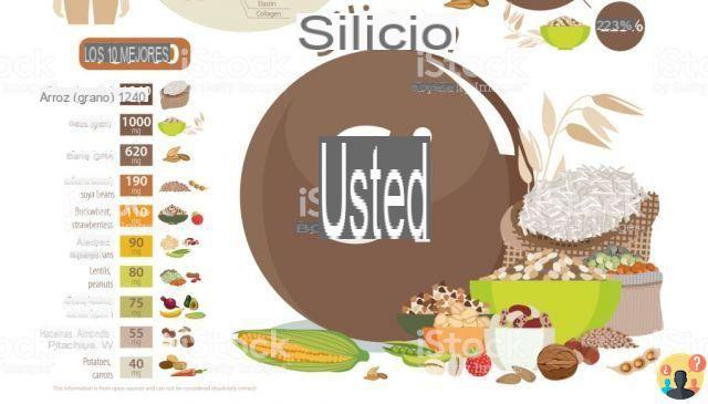 ¿En qué alimentos se encuentra el silicio?
