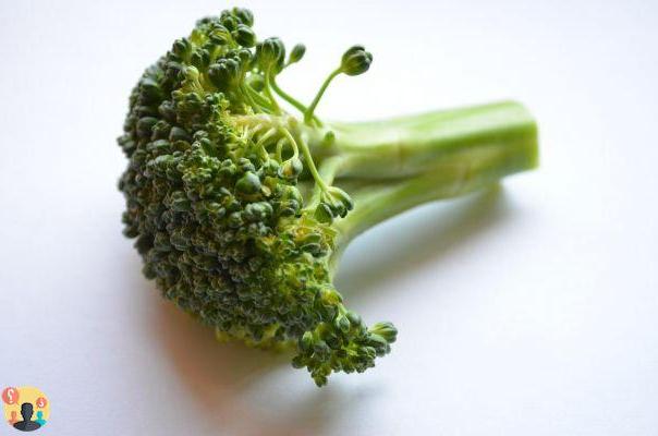 ¿Cómo saber si el brócoli está estropeado?