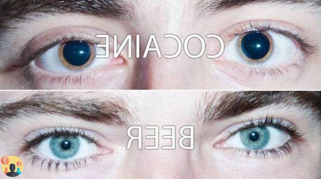 ¿Qué fármaco dilata la pupila?