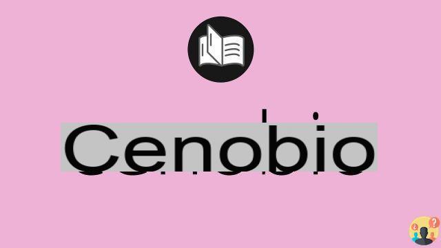 ¿Qué significa la palabra cenobio?