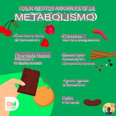 ¿Qué reactiva el metabolismo?