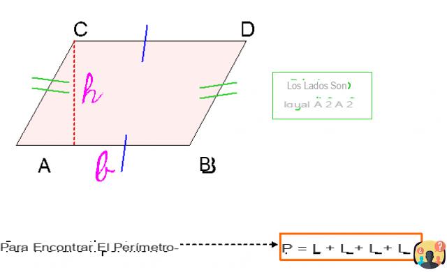 Paralelogramo ¿Cómo se calcula el perímetro?
