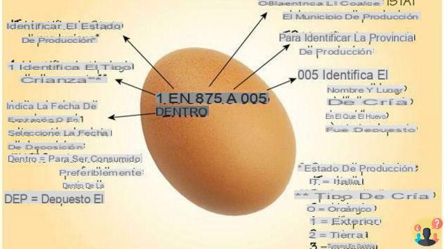 ¿Cómo verificar si los huevos aún son comestibles?