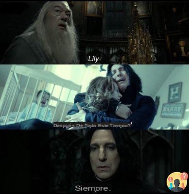 ¿Por qué Dumbledore dice lirio después de todo este tiempo?