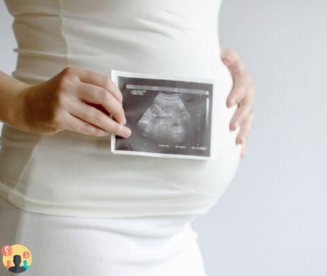 ¿Cuándo se ven las malformaciones en el embarazo?