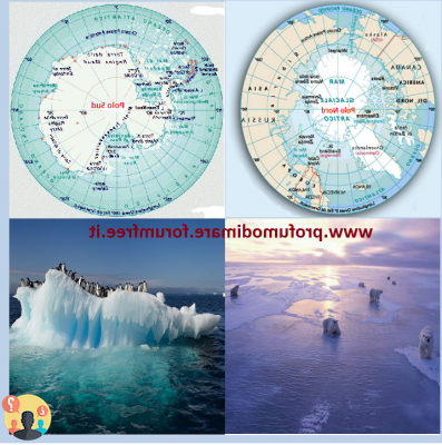 ¿Cuál es la diferencia entre ártico y antártico?