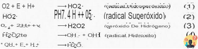 ¿Cómo se forma el radical hidroxilo?