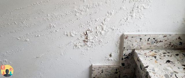¿Para eliminar la humedad de las paredes?