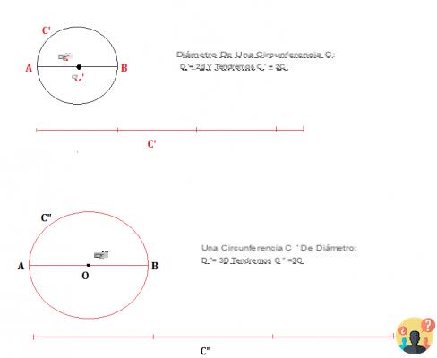 ¿Cómo se calcula la circunferencia ajustada?