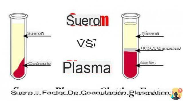 ¿Cuál es la diferencia entre suero y plasma?