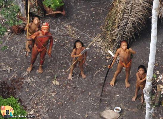 ¿Cómo viven las tribus amazónicas?
