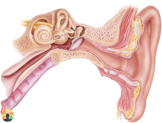¿Cómo se llaman las piedritas en los oídos?